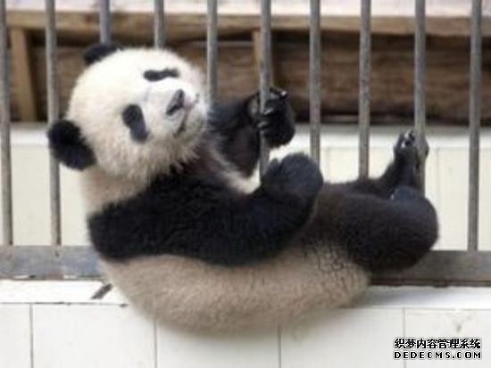 江苏省扬州市委网信办:“i芽行动” 守护每一颗“数字新芽”茁壮成长