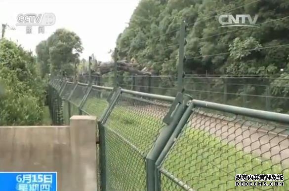 男子抄近路翻墙去上班 不小心坠进深河床(图)